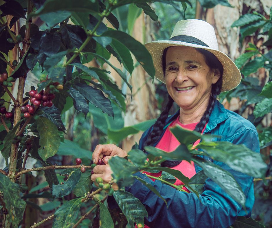 emprender en colombia, mujer cafetera